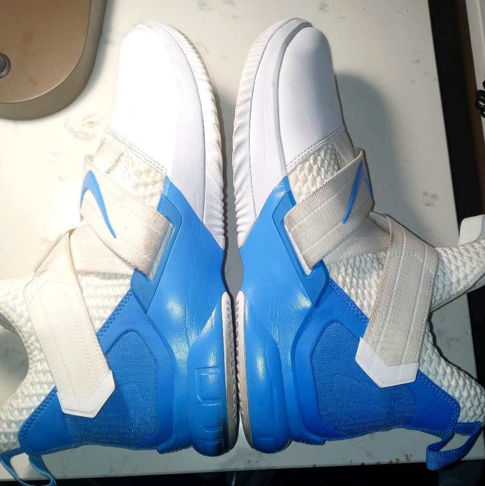 Lebron nikes